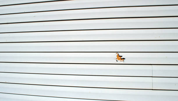 Best Insulated Siding Installation  in Buxton, NC